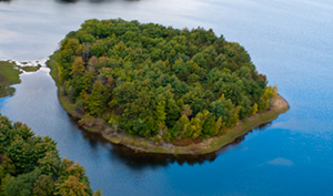 scenic flights