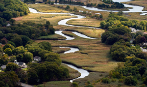 scenic flights