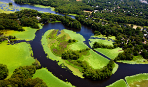 scenic flights